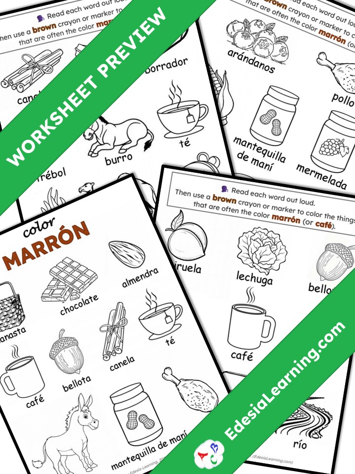Spanish Color Recognition: Marrón