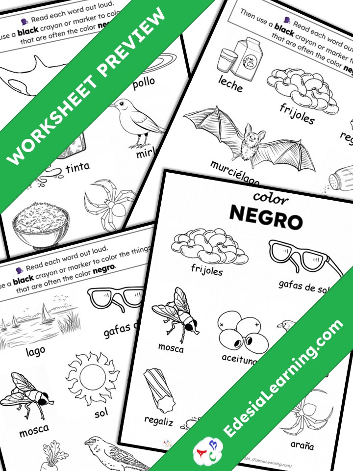 Spanish Color Recognition: Negro